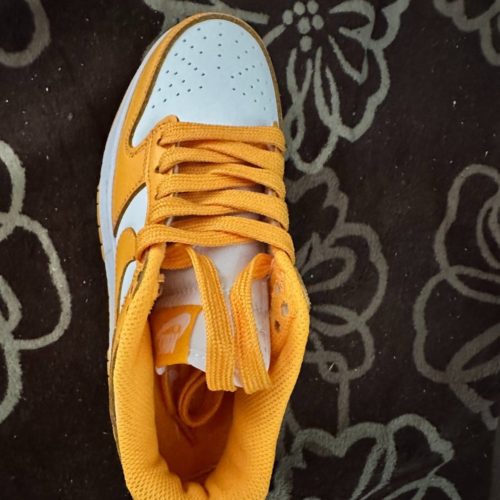 NIKE SB DUNK LOW TOP